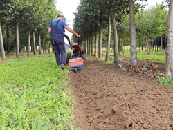 umkehrbarer einachsschlepper kama motor