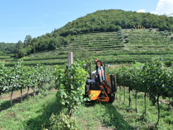 epareuse hydraulique pour tracteur avec broyeur ou taille haie mod airone 100