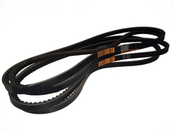 4 courroies tigre rino