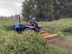 broyeur 185cm à marteaux fixe leopard 180 pour prairie ronces et sarments
