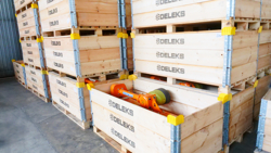 broyeur d accotement série légère à marteaux pour tracteur mod volpe 165