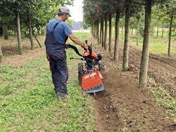 charrue rotative pour motoculteur