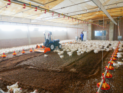 fresa miscelatrice per lettiere di allevamenti avicoli deleks cardano incluso