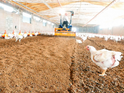 fresa miscelatrice per lettiere di allevamenti avicoli pavo 160
