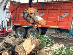 pinza per tronchi della legna da 20qli su miniescavatore o caricaletame mod dk 16