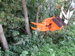 cesoia forestale pinza per tronchi miniescavatori mod cf 11