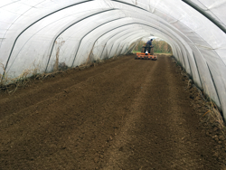 fresa interrasassi con rullo 155cm di lavoro per la preparazione del terreno mod dfu 160