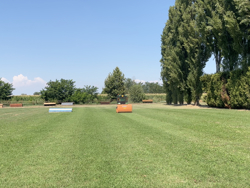 trinciasarmenti da 120cm di taglio raccolta panda 120