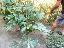 fresa universale per decespugliatore kr2