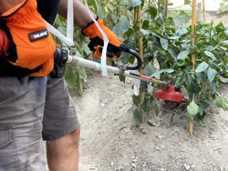 fresa universale per decespugliatore kr2