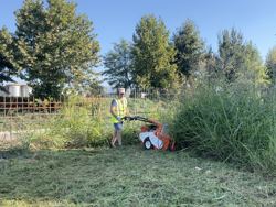 trincia a motore smart 800