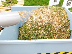 biotrituratore a scoppio professionale per la produzione di cippato mod dk 800 lf