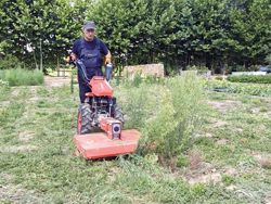 motocoltivatore deleks motore loncin420cc