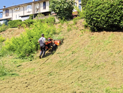 motocoltivatore cingolato deleks motore kama420cc