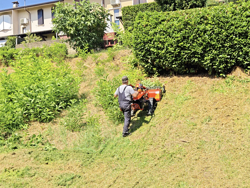 motocoltivatore cingolato deleks motore loncin420cc