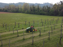 trincia a mazze per trattore tipo carraro 120cm di taglio spostabile serie leggera lince sp120h